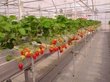 IMG_20120418_104551