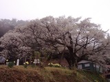IMG_20120411_172615