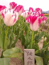 IMG_20120418_155713