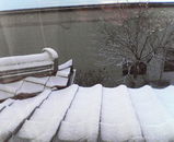 c0197ac1.jpg