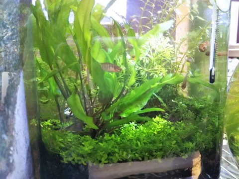 DSC_2059 (2019-01-21T19_57_58.000)