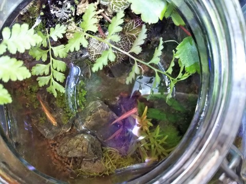 DSC_2042 (2019-01-20T23_11_38.000)