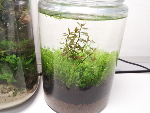 DSC_2052 (2019-01-21T15_49_17.000)