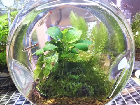 DSC_2045 (2019-01-20T23_15_30.000)