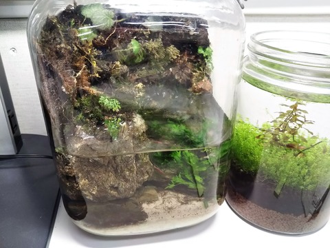 DSC_2055 (2019-01-21T18_39_58.000)