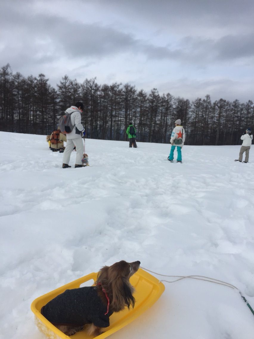 2015-03-07-13-21-54