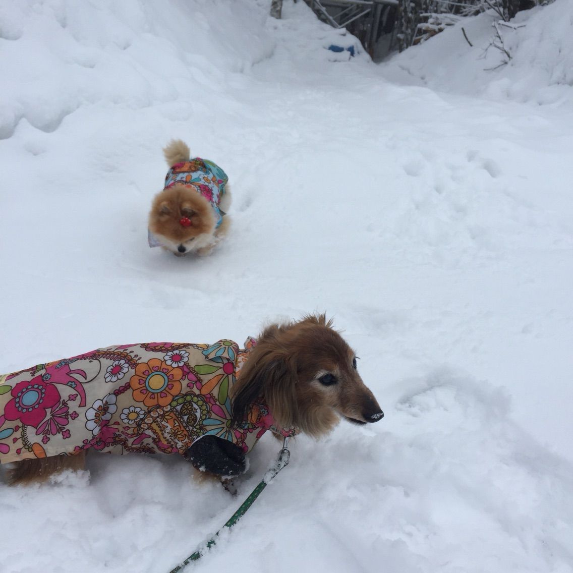 2015-03-08-07-51-06