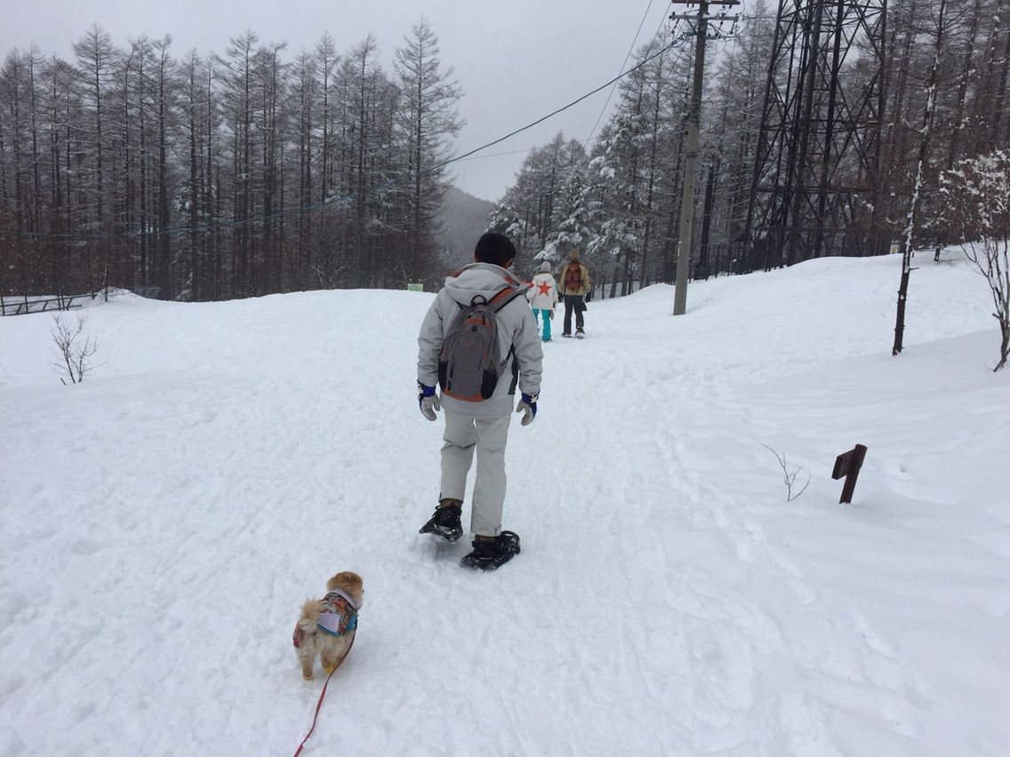 2015-03-08-12-09-36