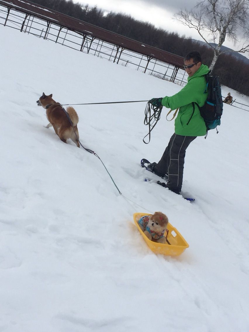 2015-03-07-13-02-43