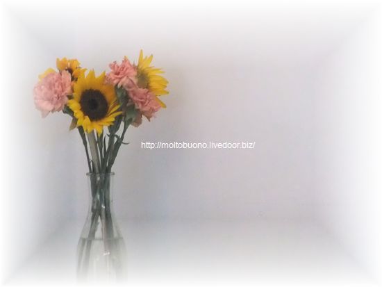 DSCF5320-1