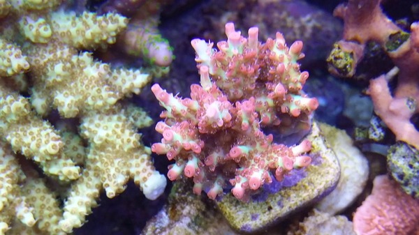 20151123_163016
