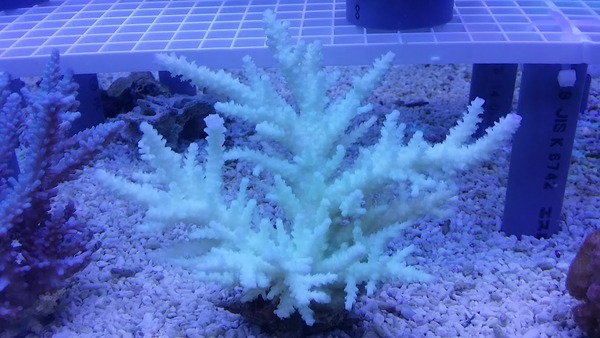20150823_185523