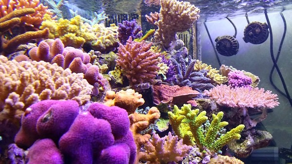 20150227_213539