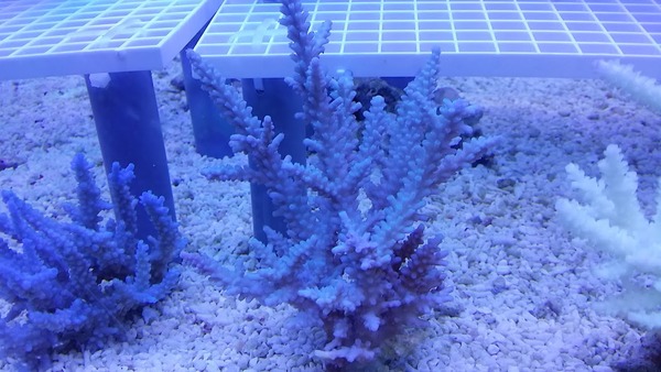 20150823_185520