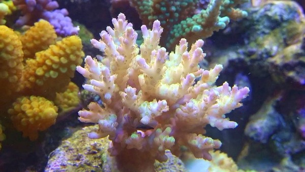 20140628_213554