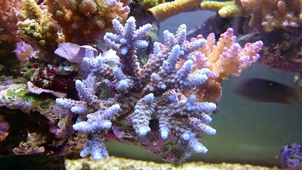 9eb1f63c
