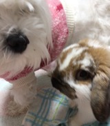 2019今日も仲良し