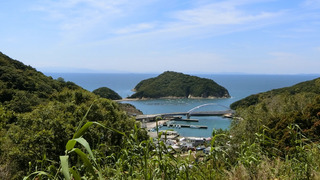 山から見下ろす戸津井漁港