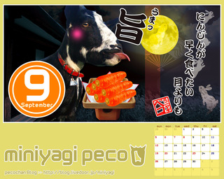 9月壁紙
