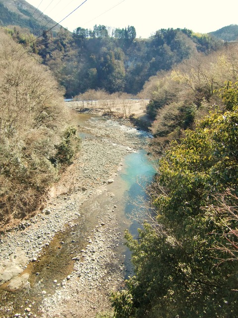 のどかな景観