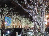 CA390703