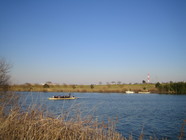 IMG_8452
