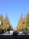 CA390253