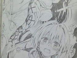 blog