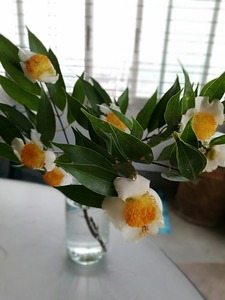 IMG_20190318_085756