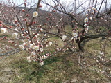 20120219¡