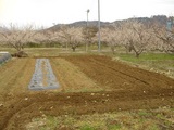 20100221¤
