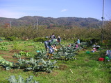 20111113¤