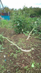 20110925¡