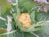 20120203£