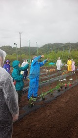 先生のあざやかな支柱ワーク