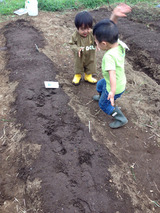 023畝を歩いて叱られる