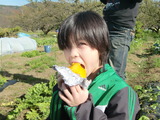 Ô侯¤¤¤âCIMG8542