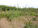 20100829£