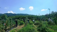 撤去をはじめる参加者