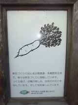 看板P9160020
