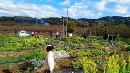 写真1