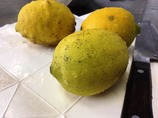 IMG_0658