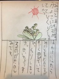 写真7