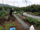 013他グループ作業中2