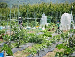 写真1
