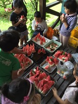 IMG_0447