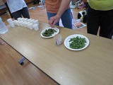 IMG_0809