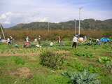 20111113£