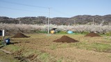 20120406£