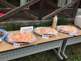 にんじんとだいこんのサラダ